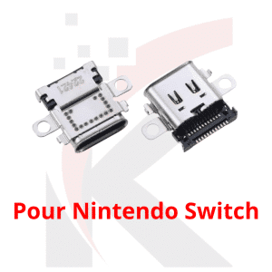 nintendo switch type c